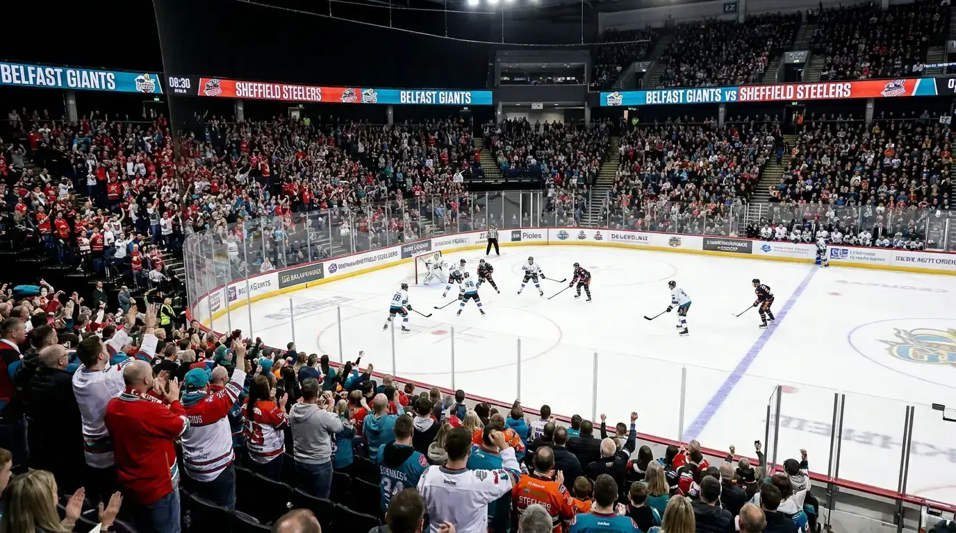 A strong EIHL home side dominating play on its own ice in front of a full crowd
